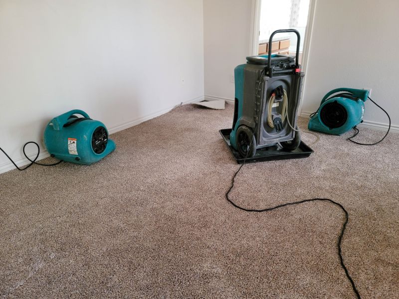 Water Damage Mitigation